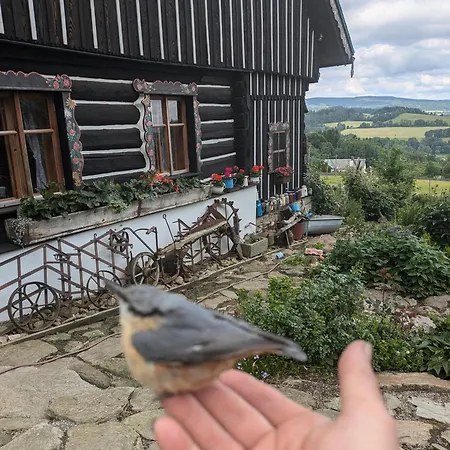 Roubenka Na Sumave * Zdíkov