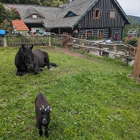 Roubenka Na Sumave Gæstehus