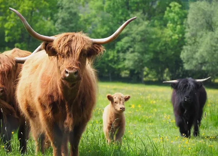 Pensionat Roubenka Na Sumave Zdíkov