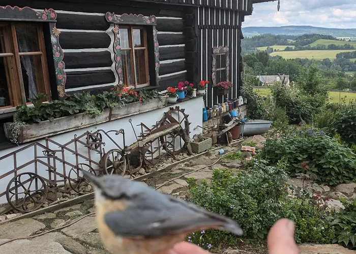 Roubenka Na Sumave * Zdíkov