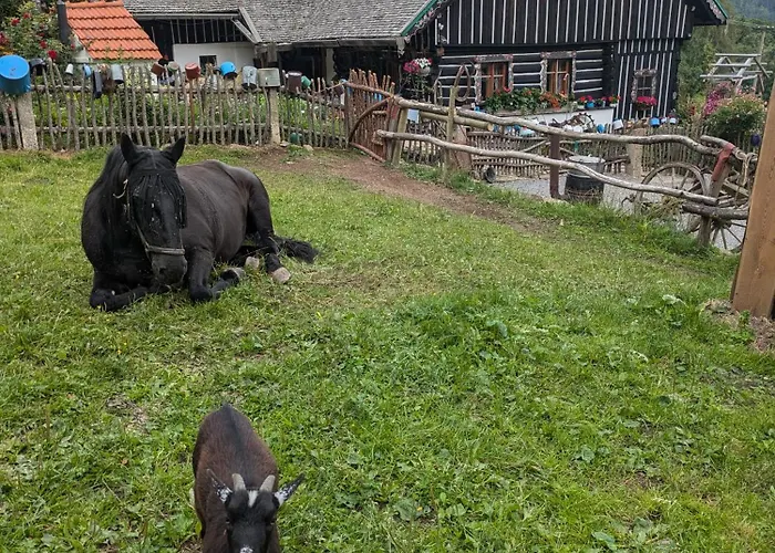 Roubenka Na Sumave Pensjonat